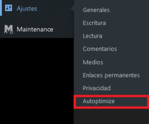 Ajustes Autoptimize plugin