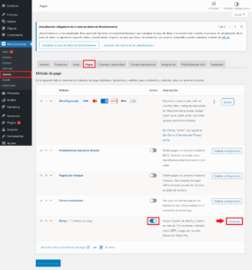 Habilitar Stripe en WooCommerce