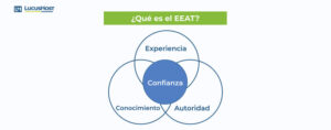 significado expertise