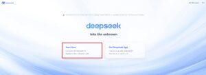 DeepSeek 1